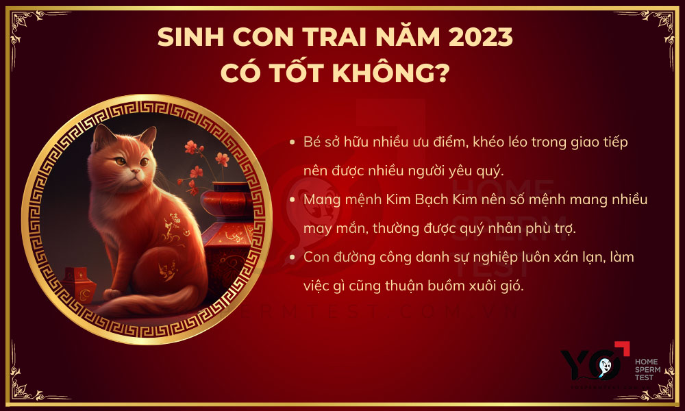Sinh con trai năm 2023 tốt không?