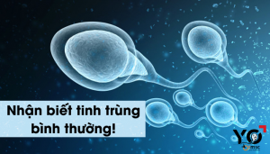 Dấu hiệu tinh trùng bình thường