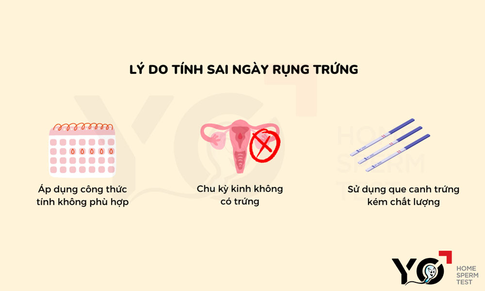 Bố mẹ khó thụ thai do tính sai ngày rụng trứng