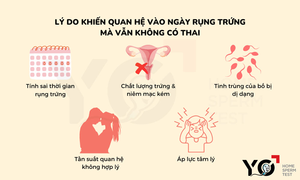 Nguyên nhân khiến quan hệ đúng ngày rụng trứng mà không có thai
