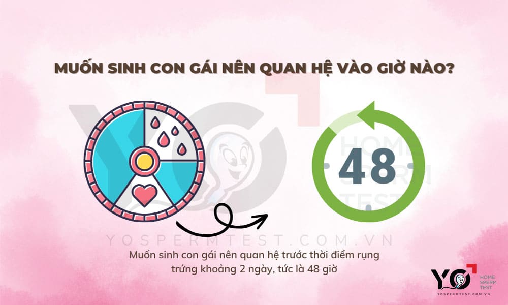 Muốn sinh con gái nên quan hệ trước 48 giờ