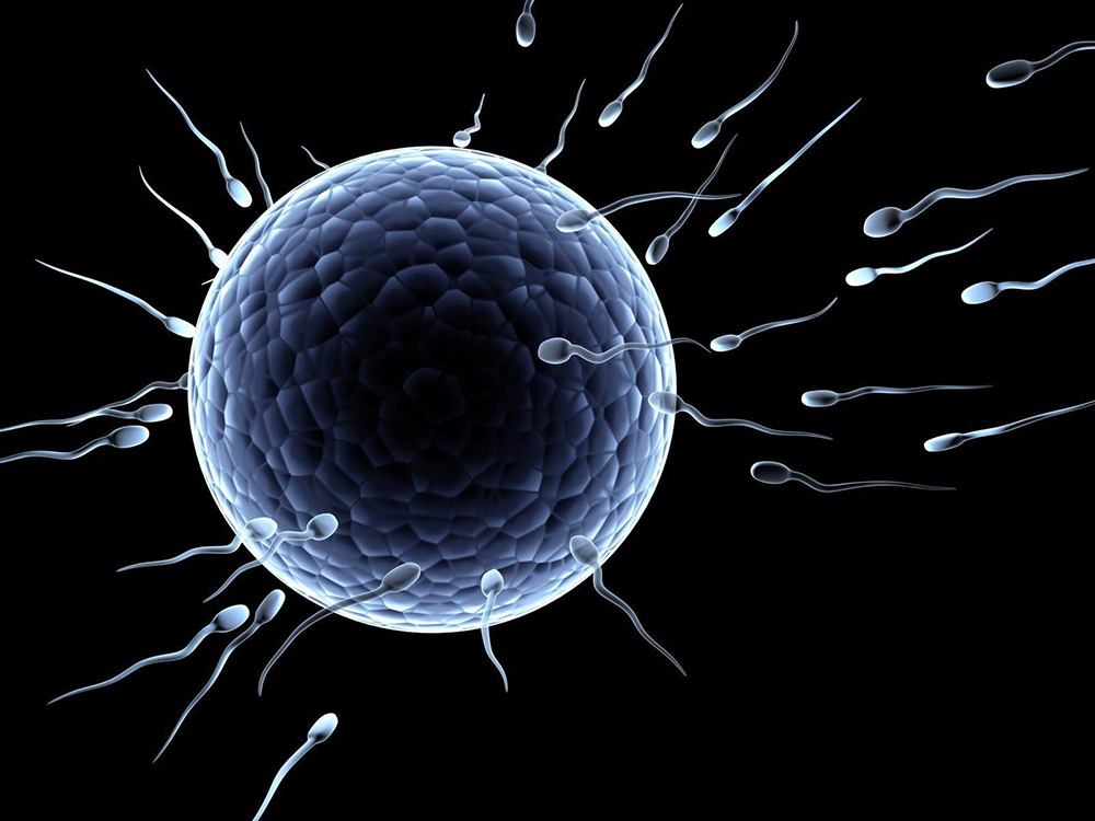 tinh trung binh thuong