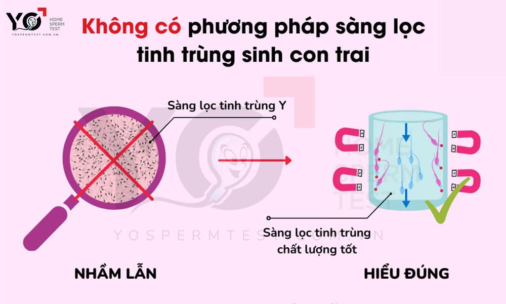 Không có phương pháp sàng lọc tinh trùng Y