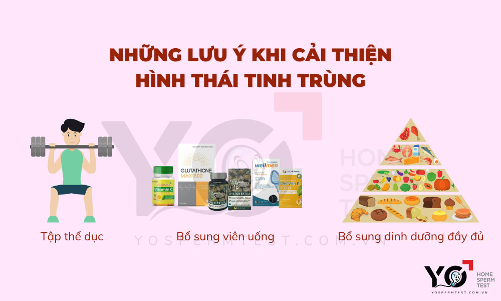 3 bí quyết giúp cải thiện hình thái tinh trùng