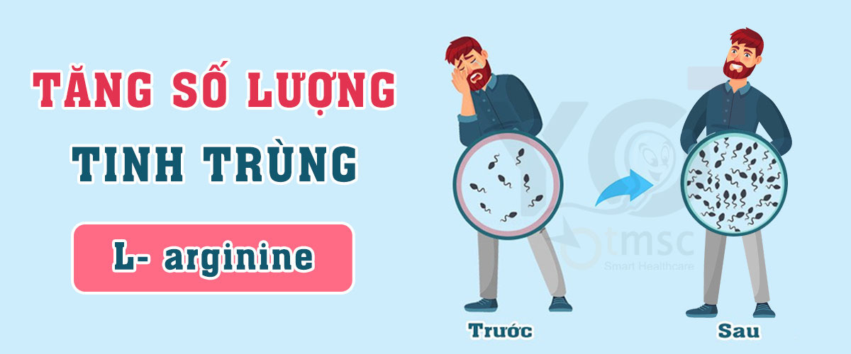 Tăng số lượng tinh trùng thì nên chú ý tới hoạt chất L-arginine trong thuốc bổ tinh trùng