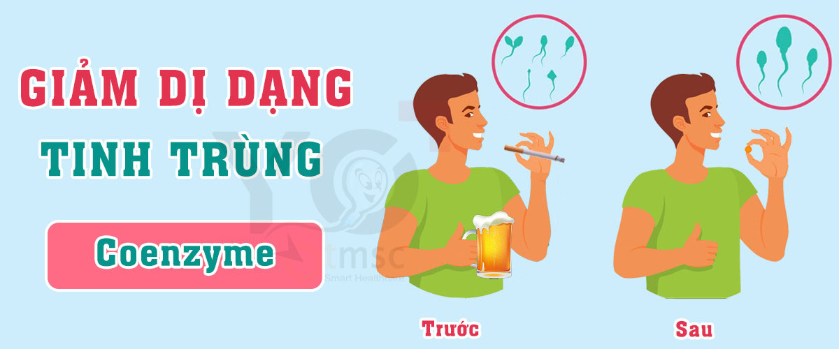 Thuốc bổ tinh trùng dị dạng