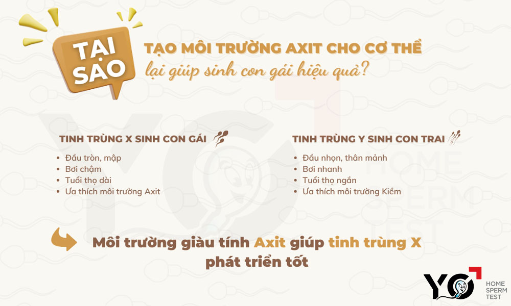 Tại sao môi trường kiềm lại giúp sinh con gái