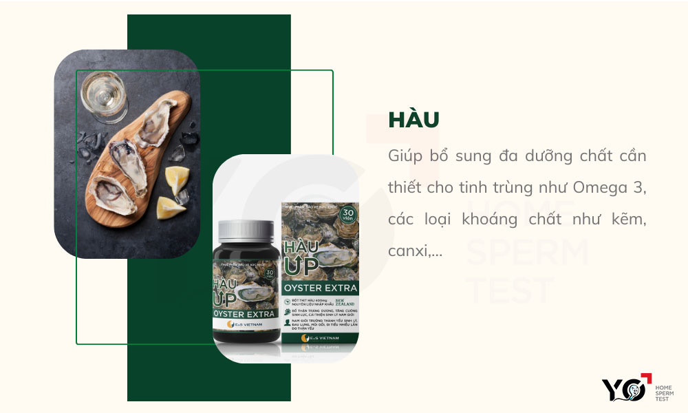 Để tinh trùng khỏe mạnh, anh em hãy bổ sung Hàu