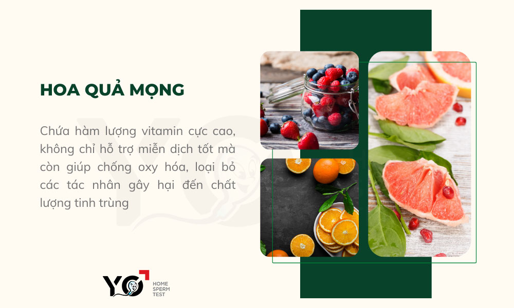 Dưỡng chất có trong quả mọng giúp cải thiện tinh trùng nhanh chóng