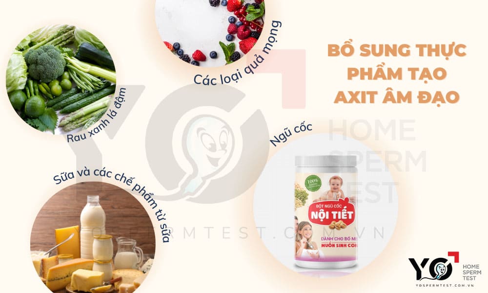 Bổ sung thực phẩm tạo môi trường axit cho âm đạo