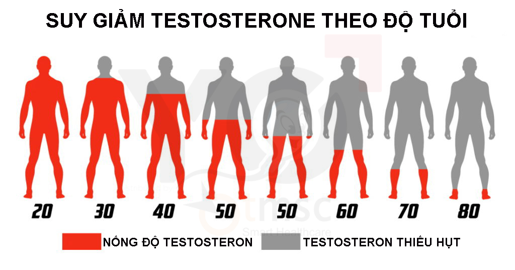 suy giảm testosterone cũng khiến tinh trùng ít