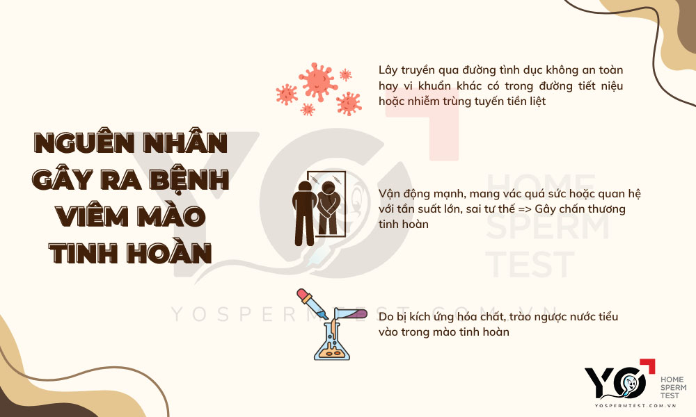 Những nguyên nhân gây ra viêm mào tinh hoàn