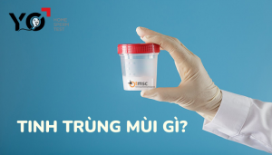 tinh trùng mùi gì
