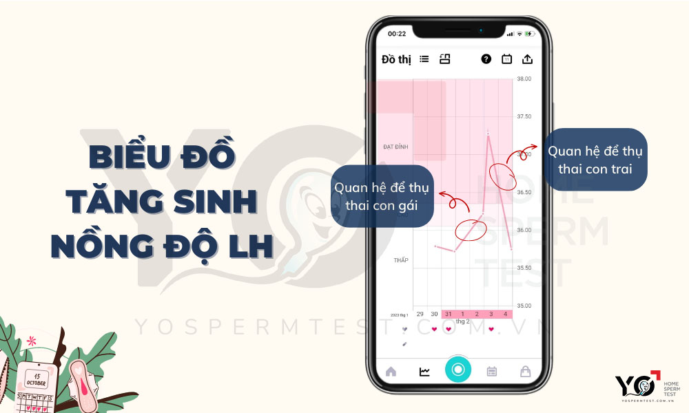Tính ngày rụng trứng dựa vào bảng tăng sinh nồng độ LH