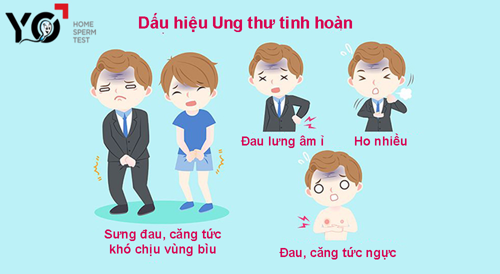 Dấu hiệu ung thư tinh hoàn, ung thư tinh hoàn có chết không?