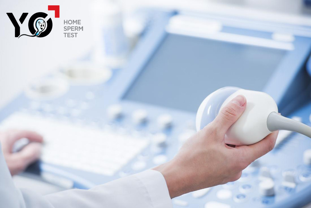 Siêu âm tinh hoàn hỗ trợ phát hiện các bệnh lý nam khoa