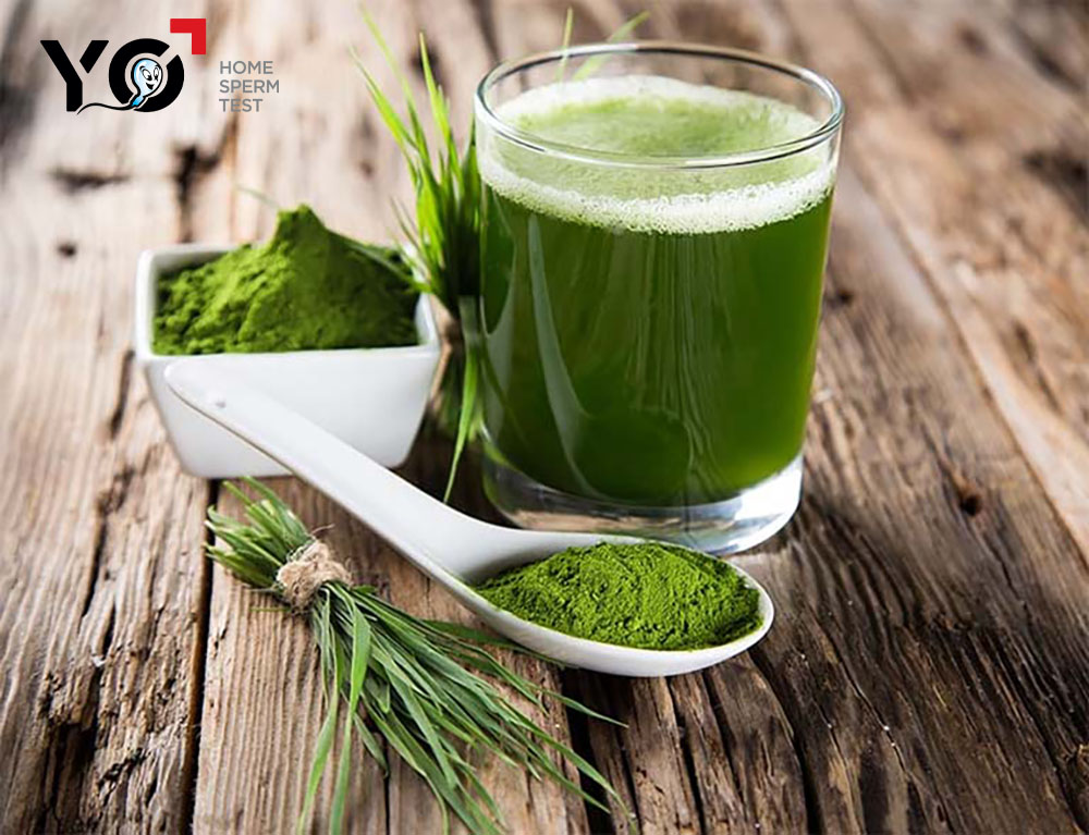 chữa xuất tinh sớm bằng lá hẹ