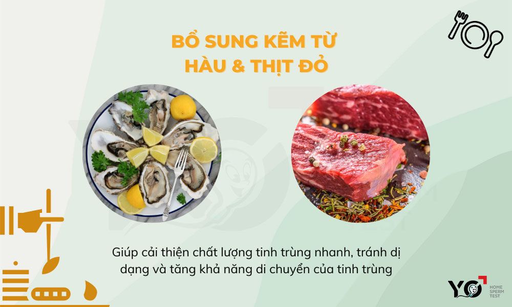 Để tinh trùng đạc hãy ăn hàu và thịt đỏ