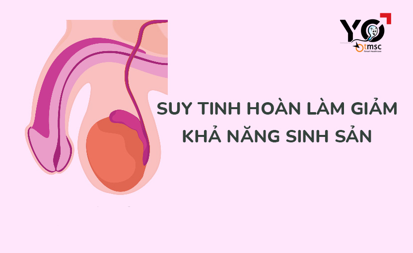 suy tinh hoan gay vo sinh