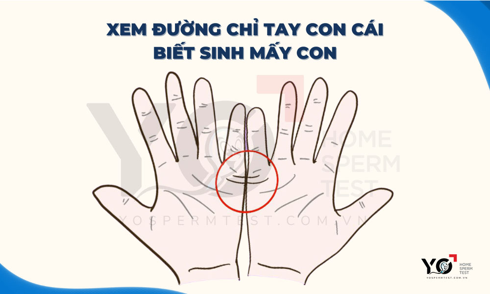 Nhận biết sinh mấy con qua đường chỉ tay 