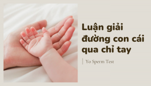 Luan giai duong con cai qua chi tay