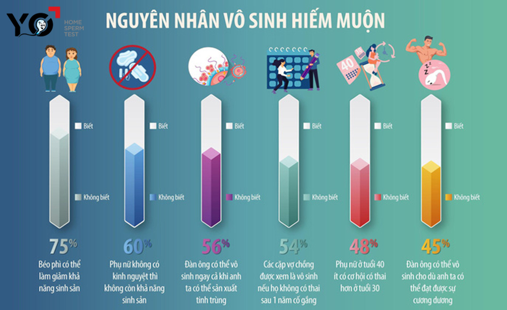 Nguyên nhân gây vô sinh