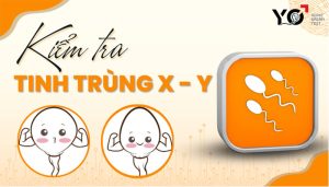 Thumb ktra