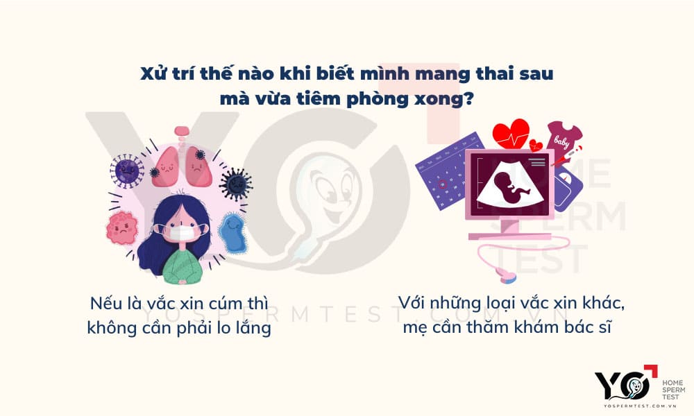 Cách xử lý khi phát hiện mang thai sau khi tiêm phòng
