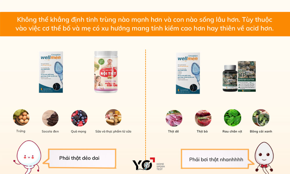 Tinh trùng mạnh hay không hoàn toàn dựa vào môi trường cơ thể cả bố và mẹ