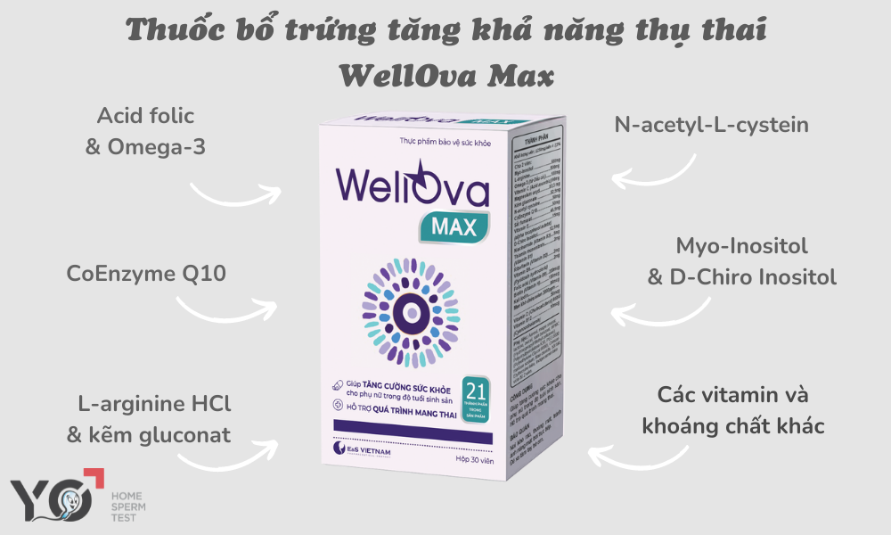 Thuốc bổ trứng tăng khả năng thụ thai WellOva Max