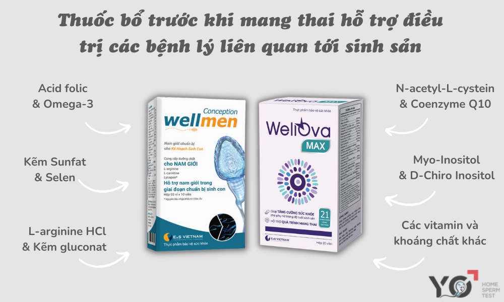 Thuốc bổ trước khi mang thai hỗ trợ điều trị các bệnh lý liên quan tới sinh sản