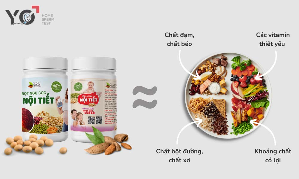Uống thuốc bổ trước khi mang thai giúp bổ sung đầy đủ các nhóm dưỡng chất quan trọng