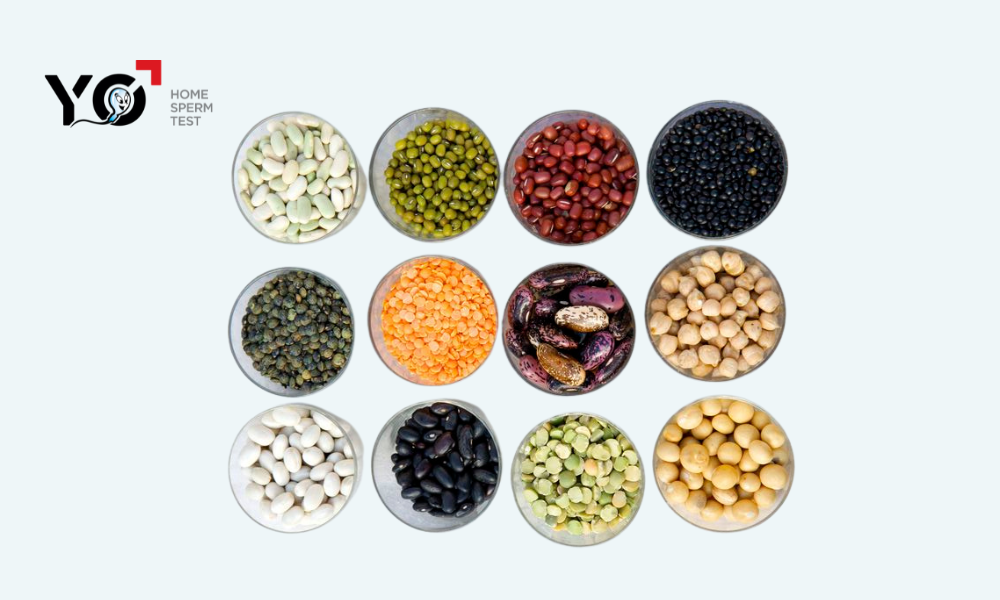 Phụ nữ ăn nhiều protein có trong các loại đậu sẽ dễ dàng thụ thai hơn