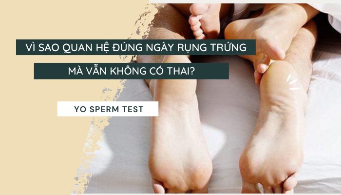 Vì sao quan hệ đúng ngày rụng trứng mà vẫn không có thai?