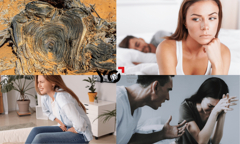 Một số biểu hiện của bệnh yếu sinh lý nữ
