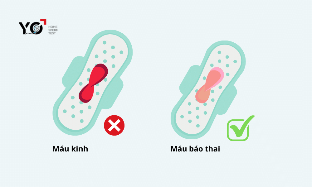 So sánh sự khác nhau giữa máu báo thai và máu kinh nguyệt