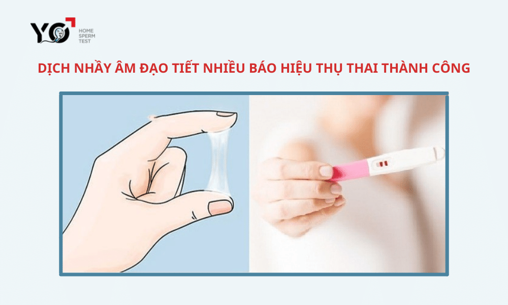 Khí hư tiết nhiều, trong và dai là dấu hiệu thụ thai thành công sớm nhất