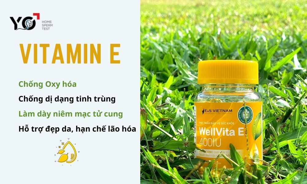 Viên uống vitamin E giúp tăng cường sức khỏe sinh sản nam và nữ
