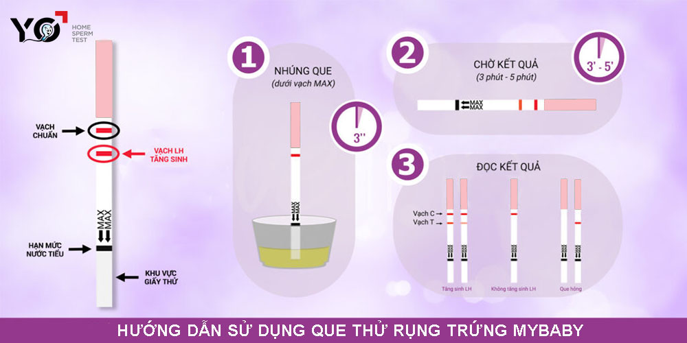 Hướng dẫn sử dụng Que thử rụng trứng canh con Mybaby