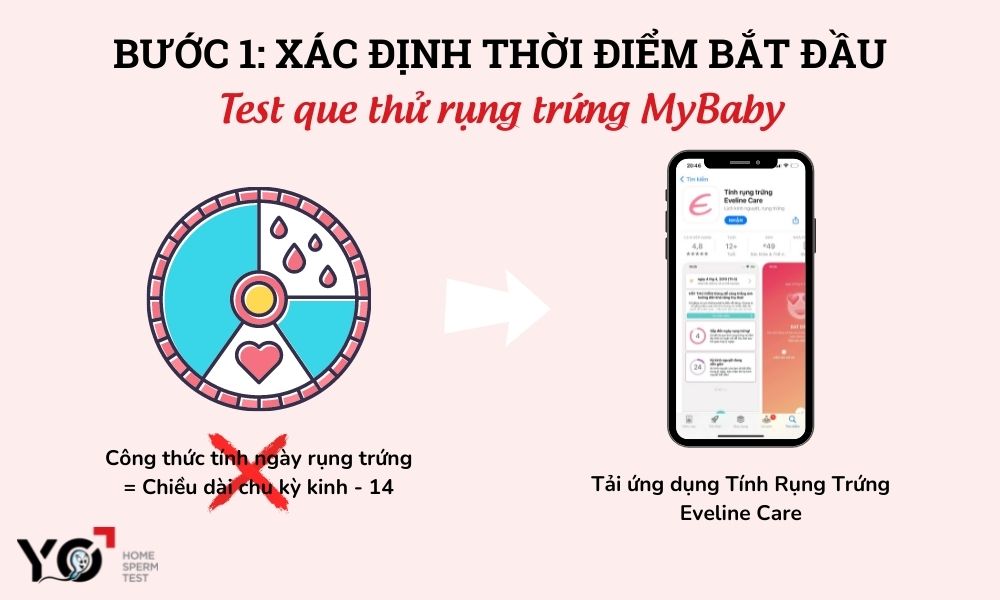 Dựa vào ngày dự báo trên ứng dụng Tính Rụng Trứng Eveline Care để tiến hành test que thử rụng trứng MyBaby