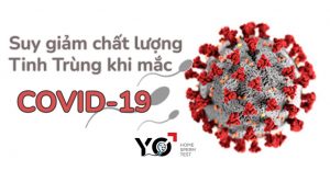 suy giam tinh trung khi mac covid 19