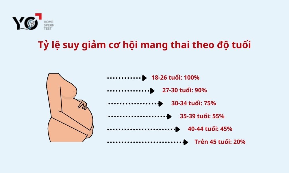 Nữ giới càng lớn tuổi tỷ lệ cơ hội thụ thai càng giảm