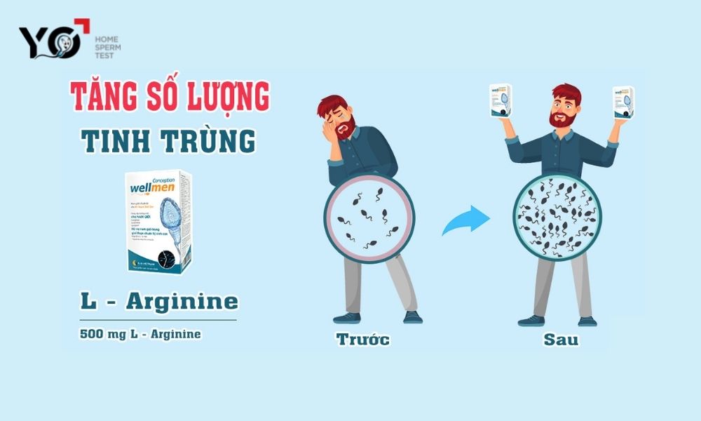 Wellmen Conception giúp tăng chất lượng và số lượng tinh trùng