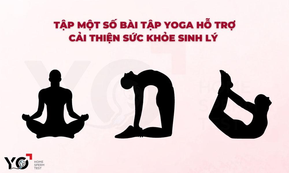 Để chất lượng tinh trùng được cải thiện hiệu quả, bố hãy tập yoga thường xuyên