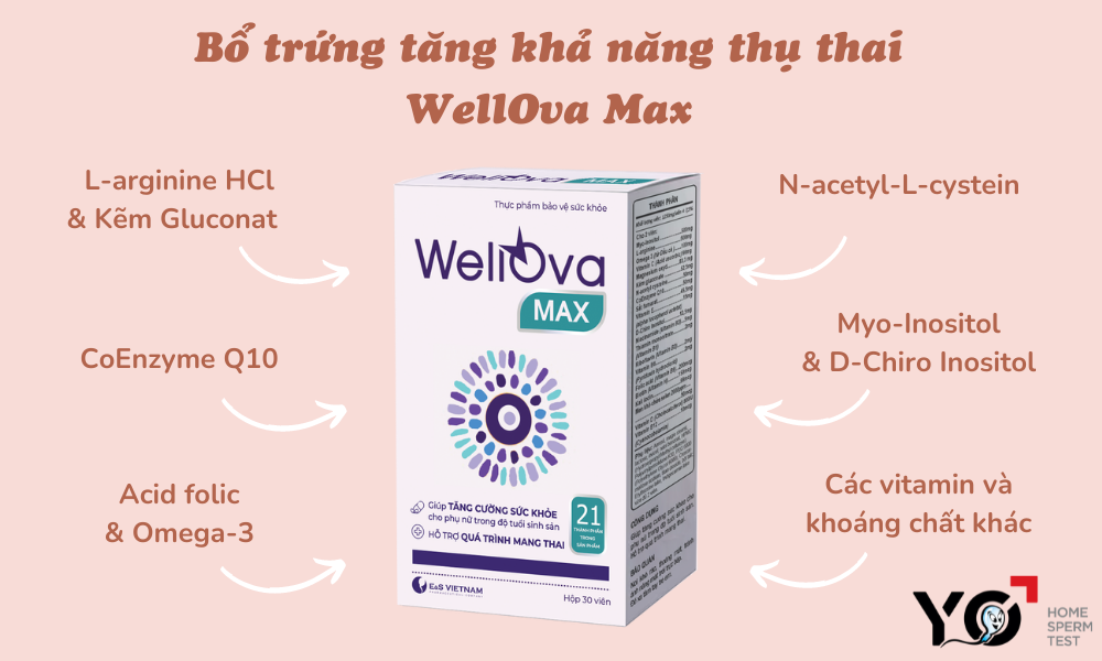 Bổ trứng tăng khả năng thụ thai WellOva Max