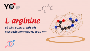L-arginine có tác dụng gì đối với sức khỏe sinh sản nam & nữ?