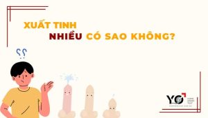 Thumb Yo 700 × 400 px