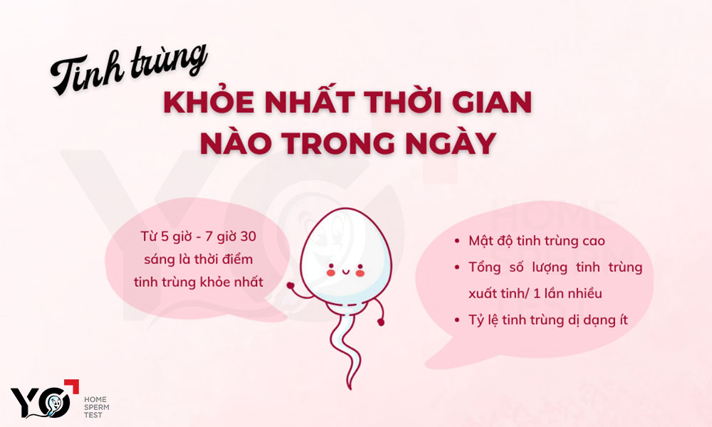 Thời gian nào trong ngày tinh trùng khỏe nhất