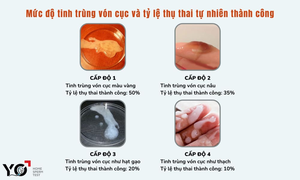 Tùy thuộc vào từng cấp độ của bệnh lý tỷ lệ thụ thai thành công sẽ khác nhau