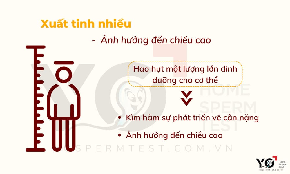 Chiều cao của nam giới bị ảnh hưởng nếu xuất tinh nhiều